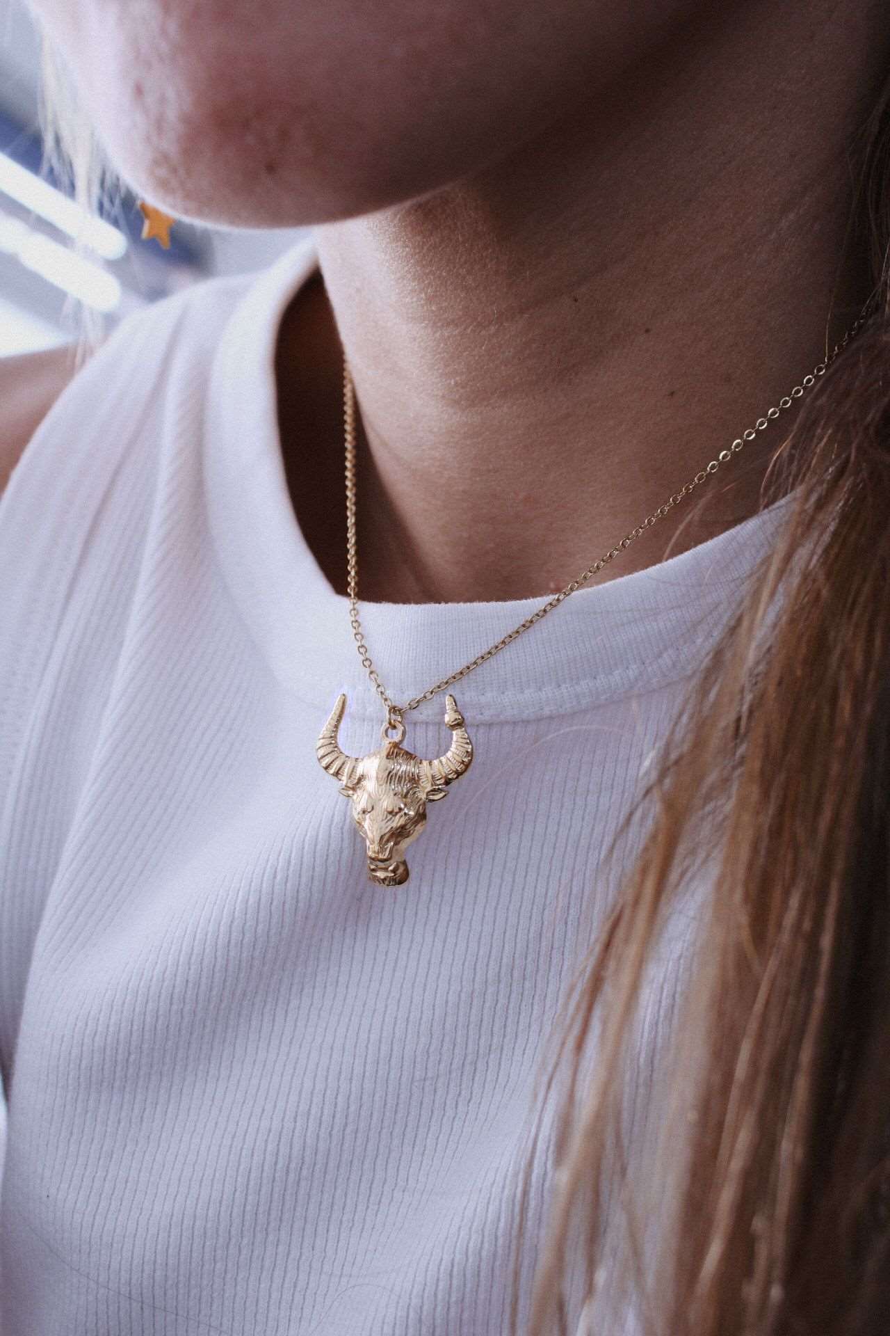 Collar Bull - hetikashop