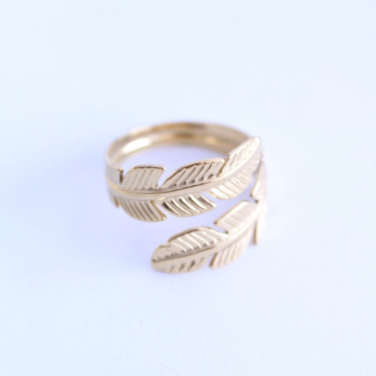 Anillo doble Pluma - hetikashop