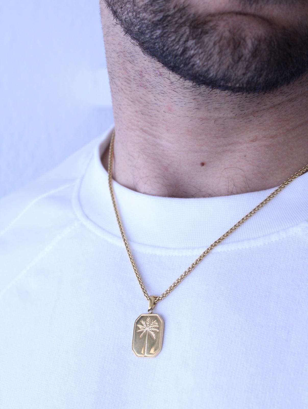 Collar Palma 🌴
