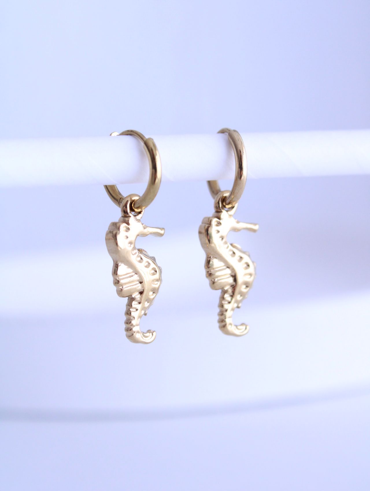 Pendientes Aro Caballito de Mar