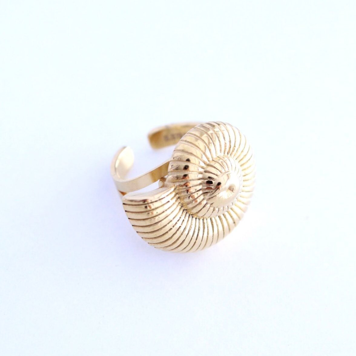 Anillo Caracol